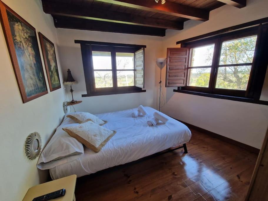 Willa 14A04 Casa De Piedra Colunga Zewnętrze zdjęcie